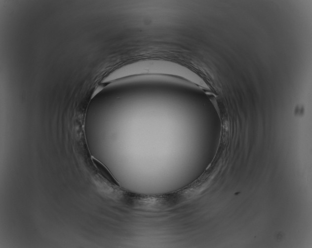 X0000089410237200707131807