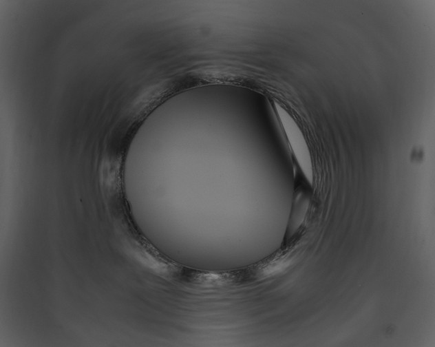 X0000089410239200707131807