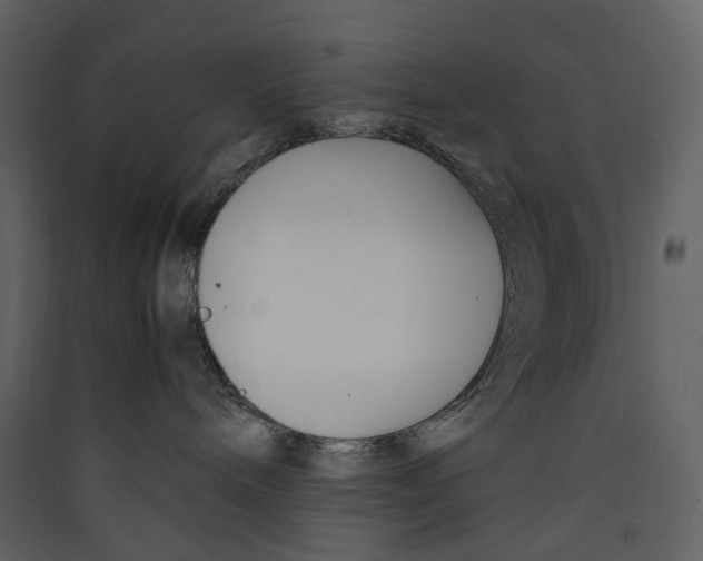 X0000089410240200707131807