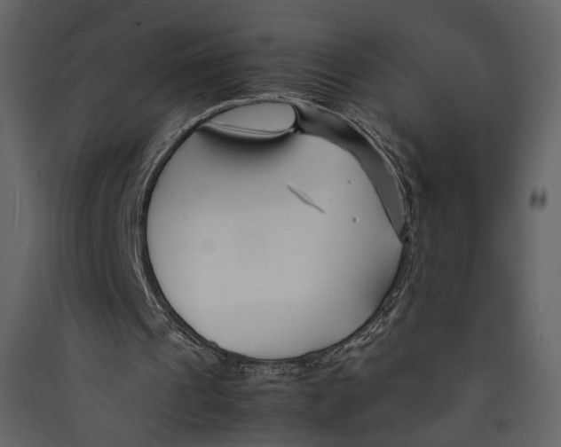X0000089410241200707131806