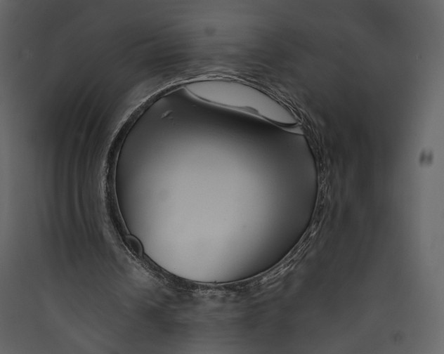 X0000089410242200707131806