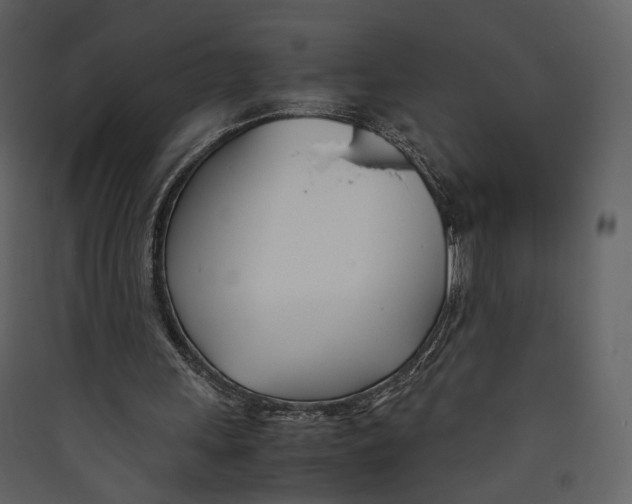 X0000089410243200707131807