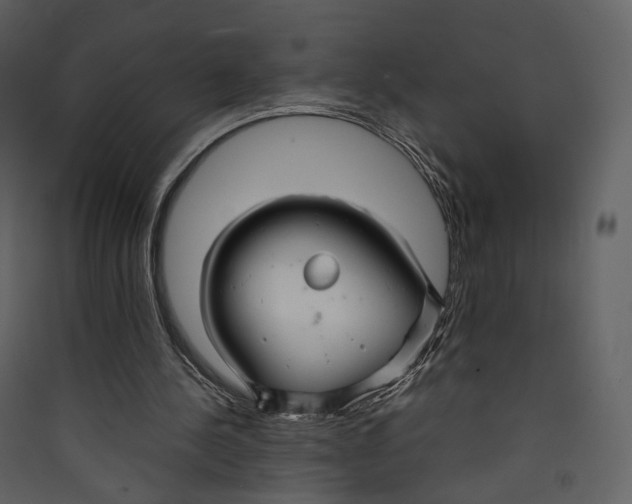 X0000089410244200707131807