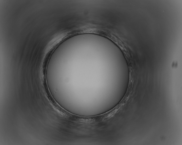 X0000089410245200707131807