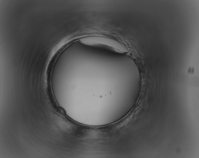 X0000089410246200707131807