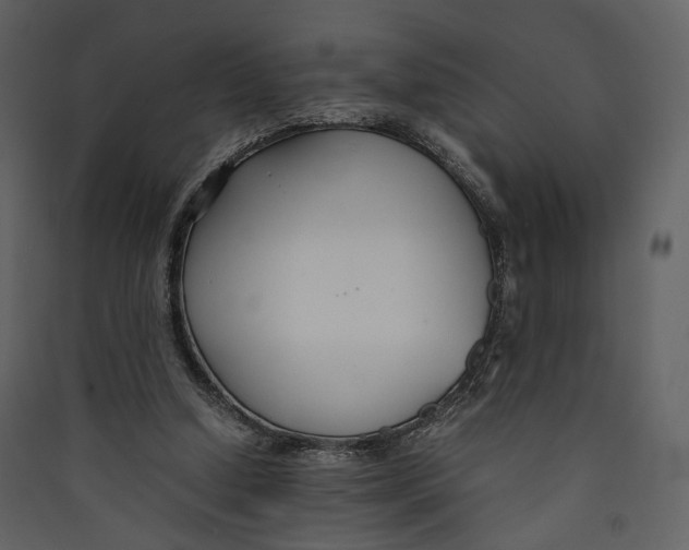 X0000089410250200707131807