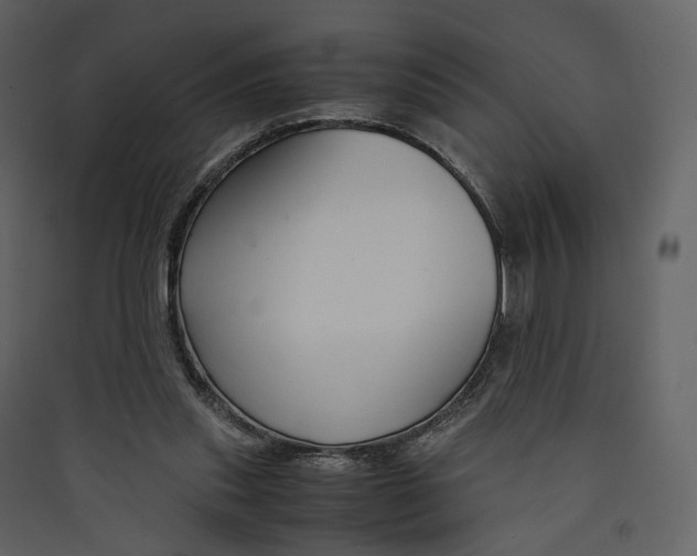 X0000089410253200707131807