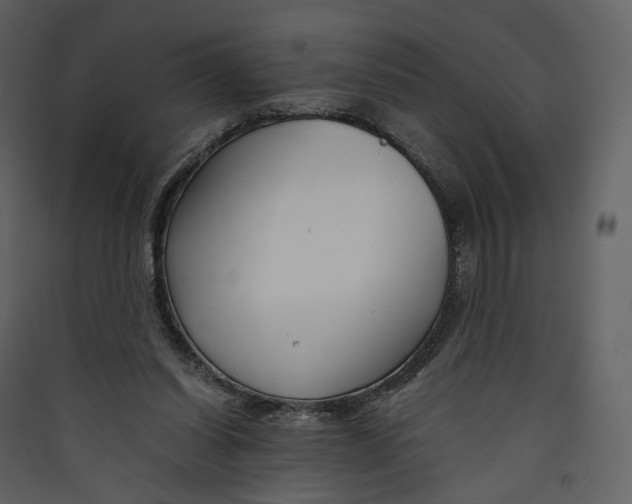 X0000089410254200707131807