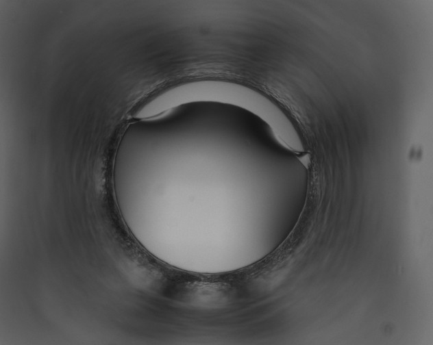 X0000089410255200707131807
