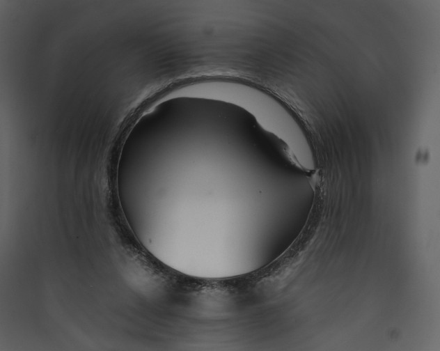 X0000089410256200707131807