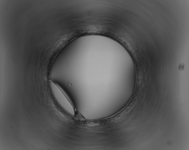 X0000089410257200707131807