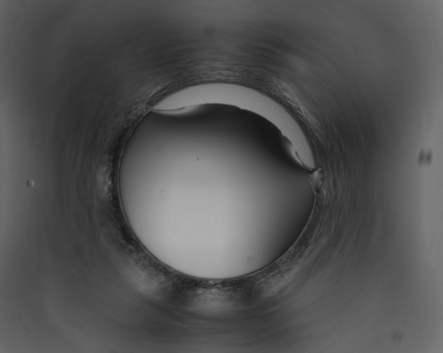 X0000089410259200707131807