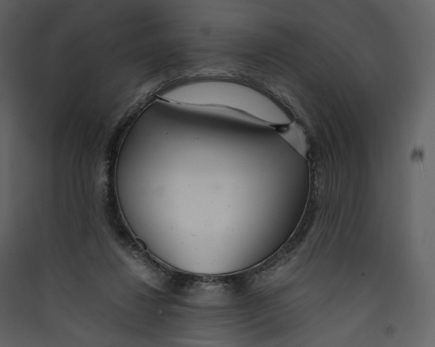 X0000089410260200707131807