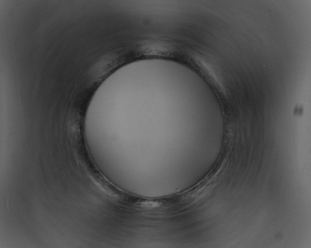 X0000089410265200707131807