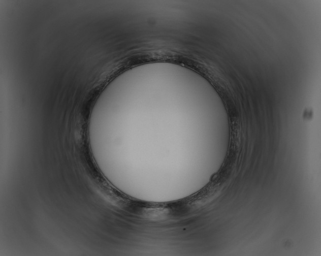 X0000089410266200707131807
