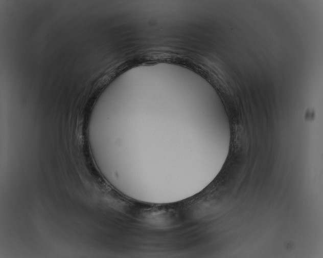 X0000089410267200707131807