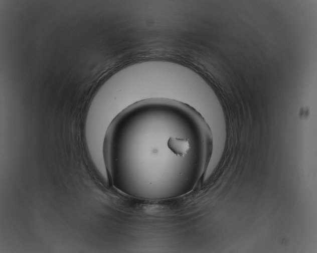 X0000089410268200707131807