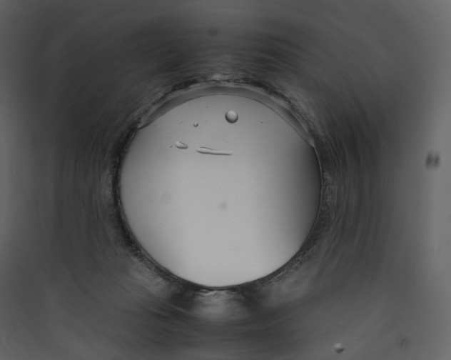 X0000089410269200707131807
