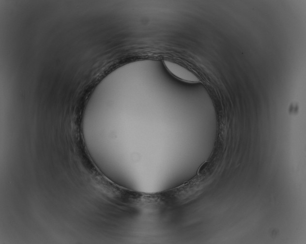 X0000089410270200707131807