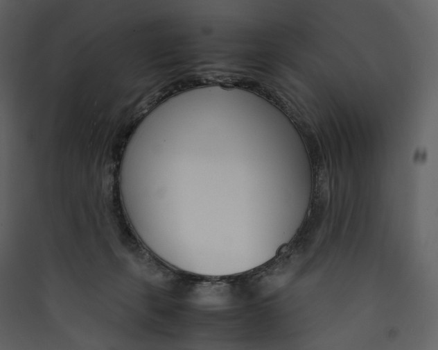 X0000089410271200707131807