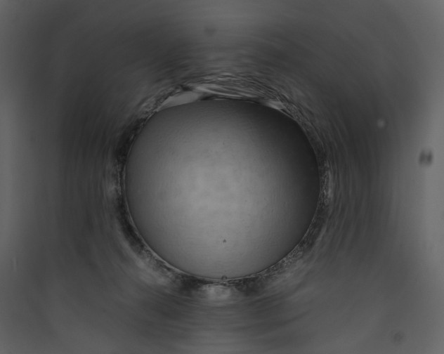 X0000089410272200707131807