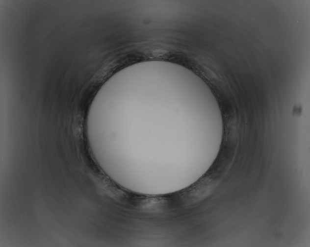 X0000089410274200707131807