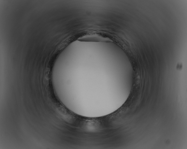 X0000089410275200707131807