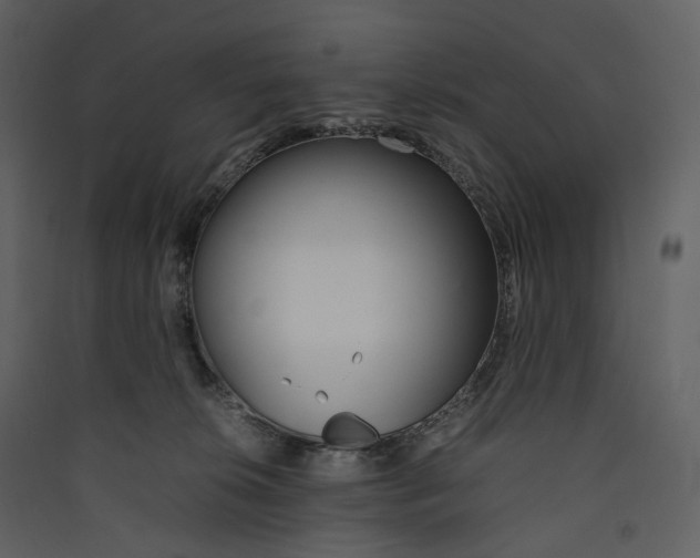 X0000089410276200707131807
