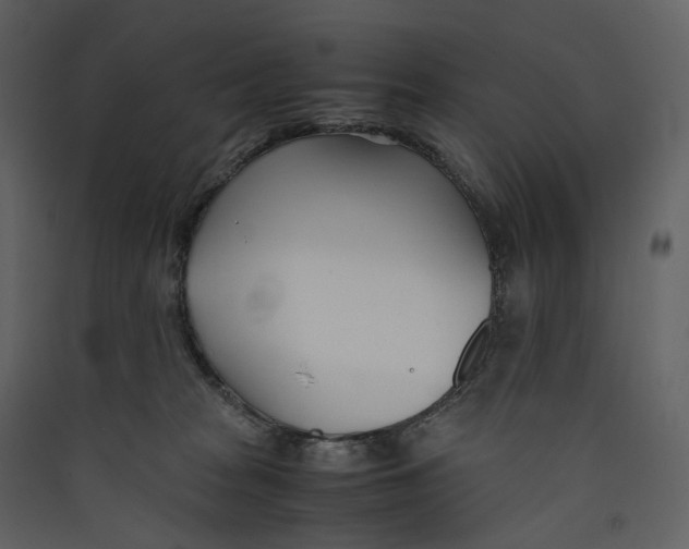 X0000089410277200707131807