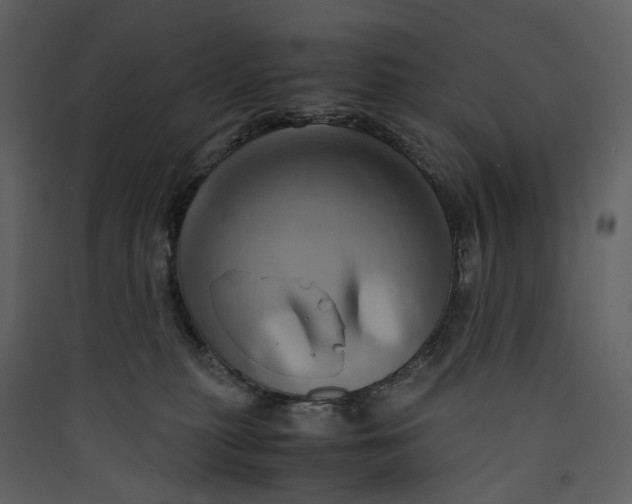 X0000089410279200707131807