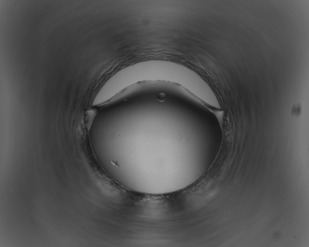 X0000089410280200707131807