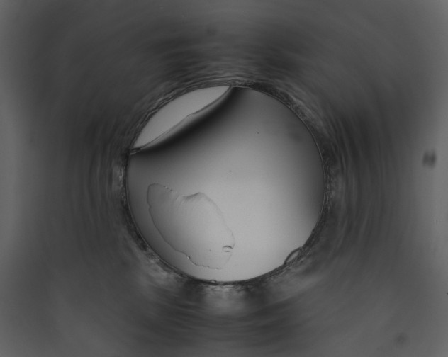X0000089410281200707131807