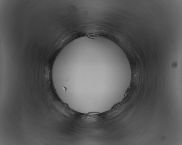 X0000089410282200707131807