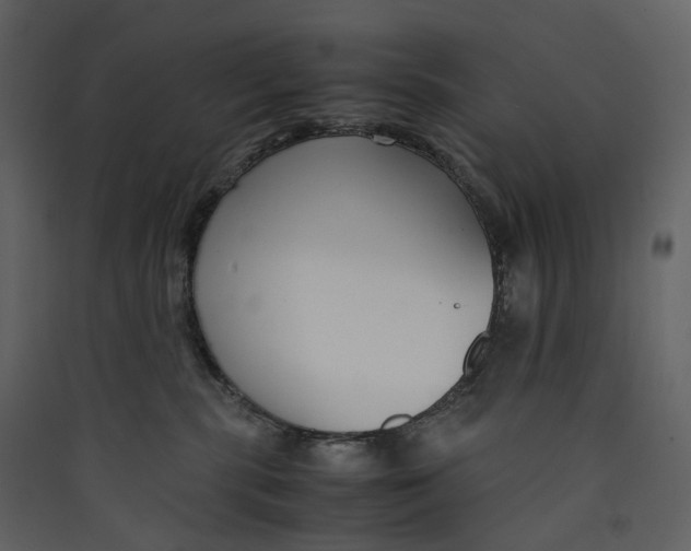 X0000089410283200707131807
