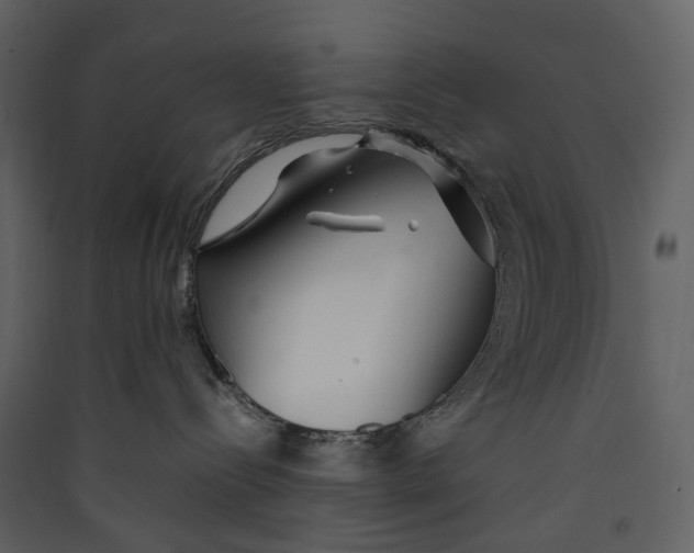 X0000089410288200707131807