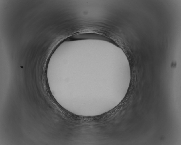 X0000089410289200707131806