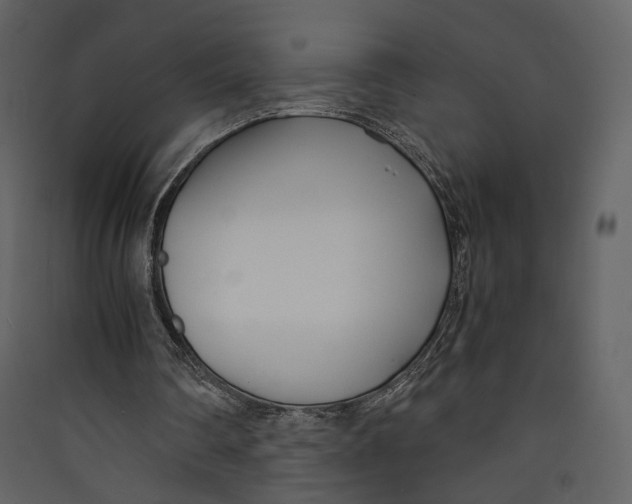 X0000089410290200707131806