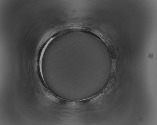 X0000089410293200707131806
