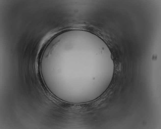 X0000089410294200707131806