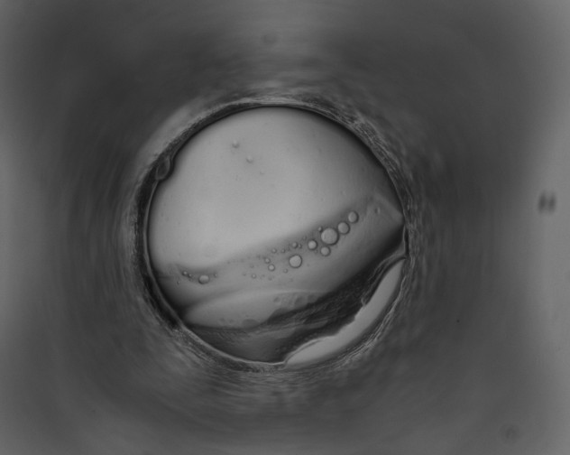 X0000089410295200707131806