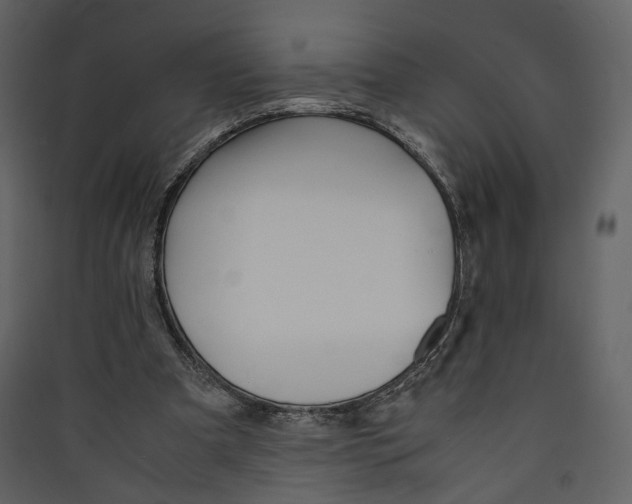 X0000089410297200707131806