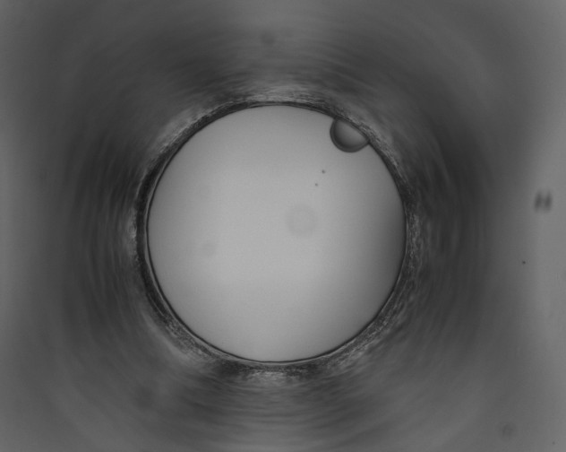 X0000089410298200707131806