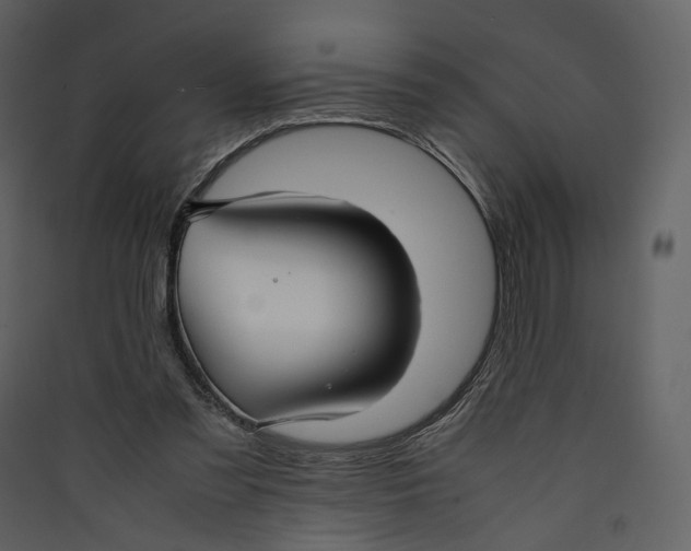 X0000089410301200707131806