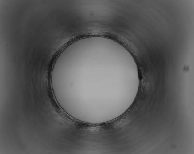 X0000089410306200707131806