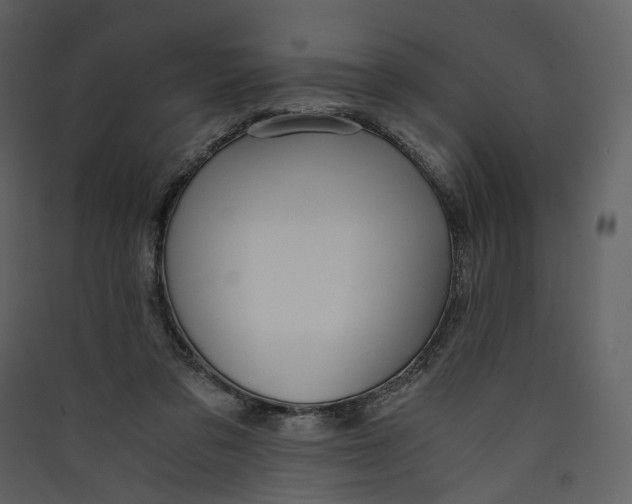 X0000089410309200707131806