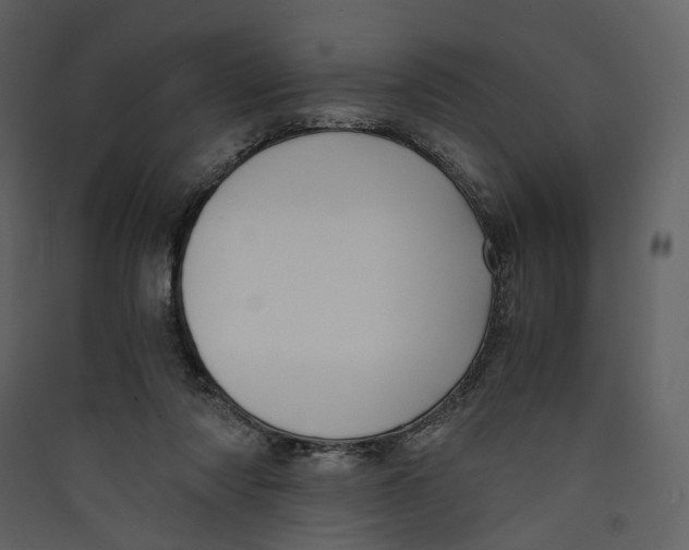 X0000089410310200707131806