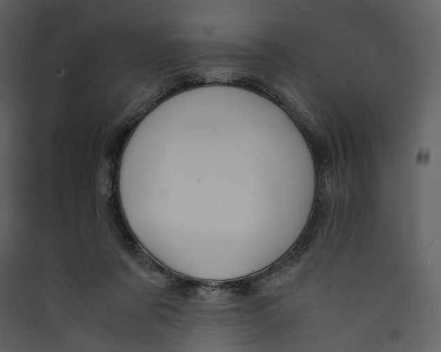 X0000089410311200707131806