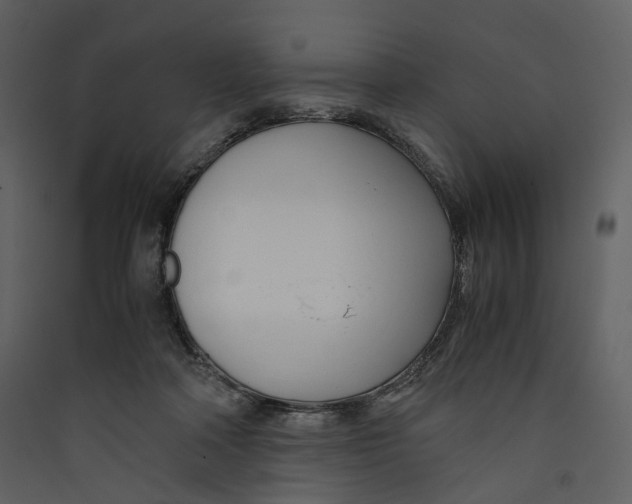X0000089410314200707131806