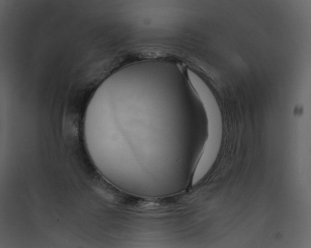 X0000089410315200707131806