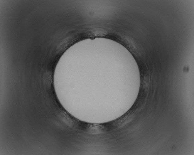 X0000089410321200707131806